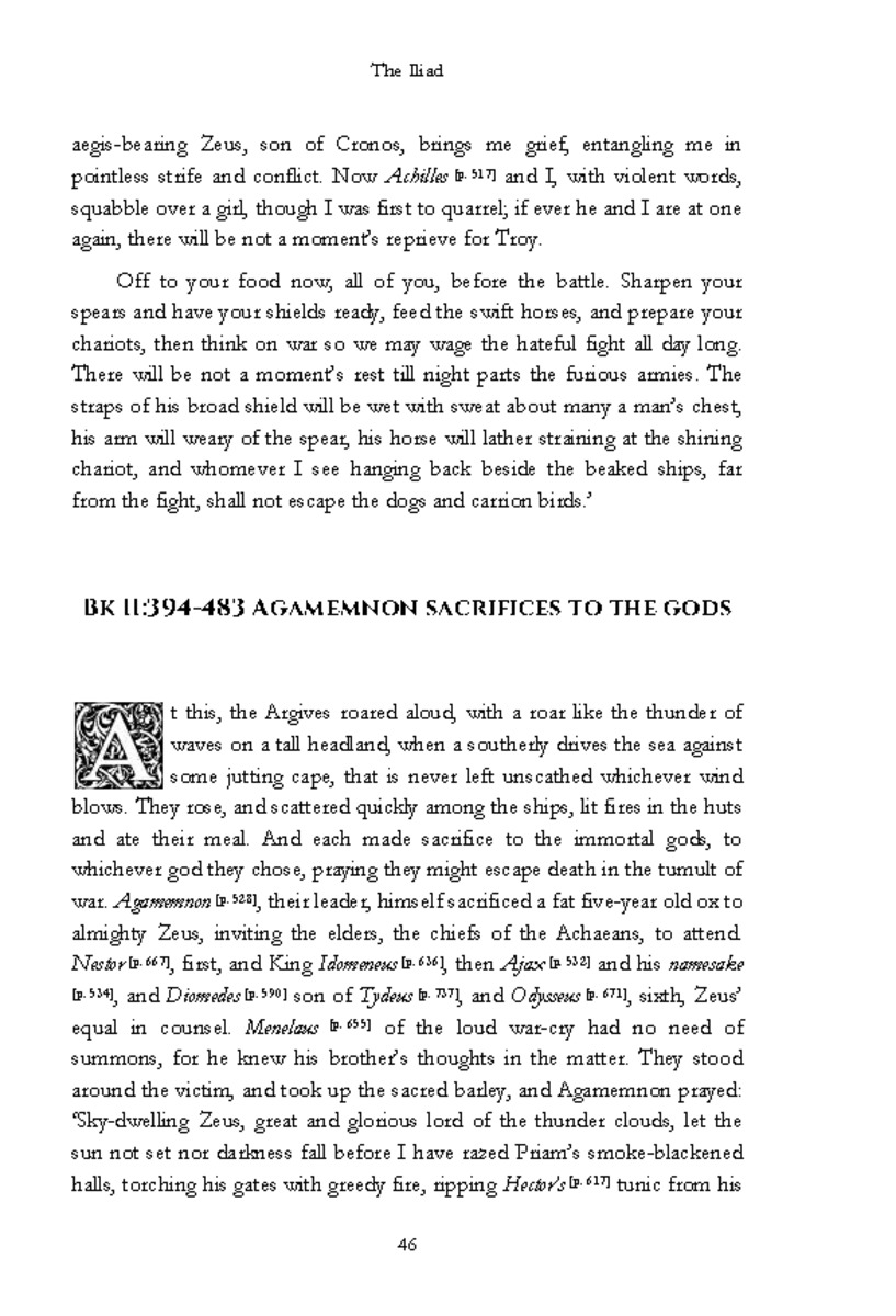 The Iliad - Page 40